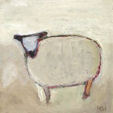 sheep13